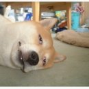 우리들마트 이미지