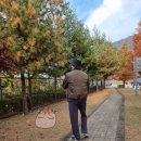 다로산