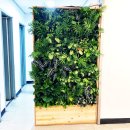 안양시청 앞 이미지