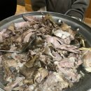 천둥옻오리 이미지