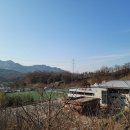 에코랜드수영장 풋살구장 이미지