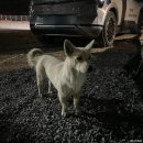 지에스25태안어은돌점 이미지