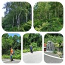 춘양면사무소 이미지