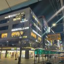 비벨라핏 이미지