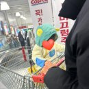 선천남로 | 김해 코스트코 추천템｜주촌점 다녀온 솔직 후기