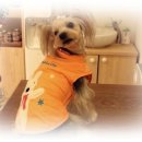 라미펫살롱 이미지