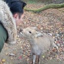 드림게스트하우스 이미지