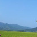 에코맘 협동조합 이미지