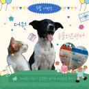 더원동물의료센터 이미지