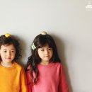 엠버(Amber) 이미지