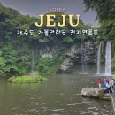 천제연 담팔수나무 | 제주 갈만한곳 제주도 천지연 폭포 힐링하고 키링 받자