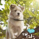 개와 고양이 이미지