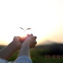 생명의정원여성의원 이미지