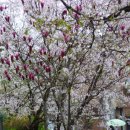 삼천남초등학교 이미지