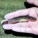 독립-16-05 이미지