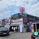 소로2-낭월25 | 부산 거제 군산 2박3일 여행, 유명한 곳만 콕 찍고 다녀온 후기