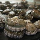 서해바다영어조합법인 이미지