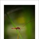 삼중목장 이미지