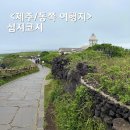 신양섭지코지해변 | 제주 동쪽 여행지 해안가를 걷는 섭지코지