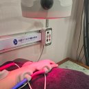 서현마디튼튼재활의학과의원 이미지