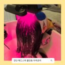 센타프라자2 | 천안 헤드스파 제대로 하는 곳 CSLMGF두피탈모센타 불당동 두피관리 후기