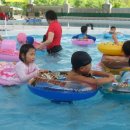 신안 유치원 이미지