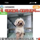 신공항동물병원 이미지