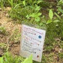 장수의 땅 그리고 이미지