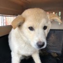 소로1리 이미지