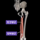 더바른재활운동센터 이미지