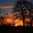 공인 대한 번역행정사 이미지