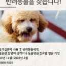 신광유치원 이미지