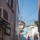 중앙동229 이미지