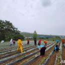 김경희농장 이미지