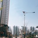 제일풍경채 정문 앞 버스정류장 앞 이미지