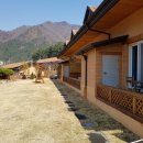 힐링황토집 이미지