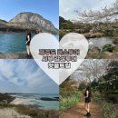 서부 | [제주도 버스투어 핫플트립 후기] 서부감성투어 뚜벅이도 가능한 렌터카 없는 제주여행