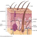 황금손한의원 이미지