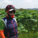 문산취수장 부근 이미지