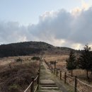 대도정비 | [제주동쪽 여행코스 아이랑도 가능한 백약이오름] 제주 오름 추천, 유료 주차장 이용후기