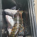 인천 락 실내바다낚시터 이미지