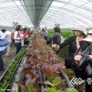 생활원예 강좌 이미지