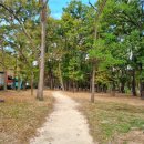 메타세쿼이어길 화장실 이미지