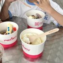 (주)메트로아이.디 | [리뷰] 센트럴 코스트 아이와 가볼 만한 곳 '디 엔트런스(The Entrance)' 인생 코스 정리 (피자 맛집...