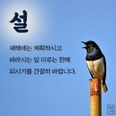 새해(설날) 고운 인사말 이미지 이미지