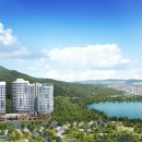 백운산 숲속의 아침 이미지