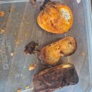 맘모스 PC 이미지