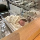 (주)헤리티지산후조리원 | 청담 헤리티지 산후조리원 (스탠다드룸)🏛️ 2주 후기 🕊️