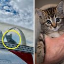 둥지박물관 이미지