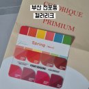 나의 퍼스널은? 파우치진단까지 | 부산 퍼스널 컬러 체계적으로 진단하는 전포 컬러리크 솔직 방문 후기 예약 정보